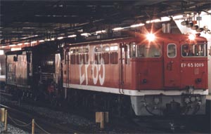 JR東日本 EF65形1000番台 EF65 1019|D51 498