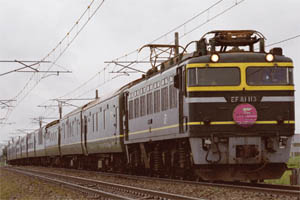  EF81形|24系客車 EF81 113|24系客車 特急 トワイライトEX