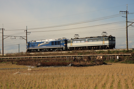 JR東日本 EF65形1000番台|EF510形 EF65 1080|EF510-501 甲種輸送