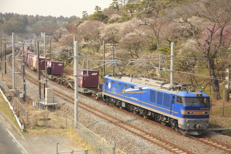 JR東日本 EF510形 EF510-506|コキ 貨物