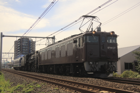 JR東日本 EF64形0番台|C61形|12系客車 EF64 37|C61 20|12系客車 配給