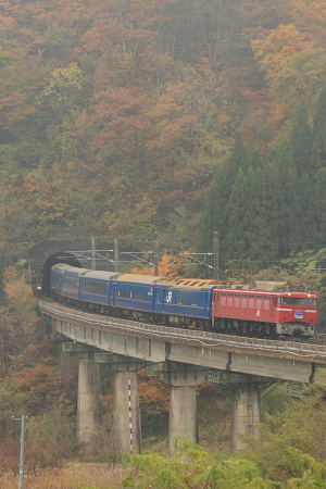JR東日本 EF81形|24系客車 EF81 137|24系客車 特急あけぼの