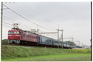 JR東日本 EF81形|24系客車 EF81 98|24系客車 特急 北斗星