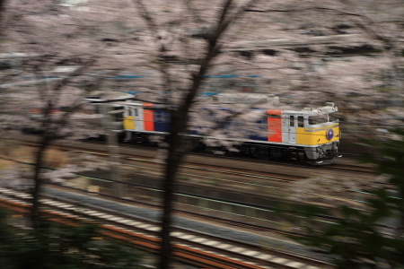 JR東日本 EF81形|E26系客車 EF81 99|E26系客車 特急 カシオペア