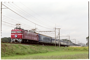 JR東日本 EF81形|24系客車 EF81 99|24系客車 特急 北斗星