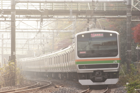 JR東日本 E231系 クハE231-8036 湘南新宿ライン 特別快速