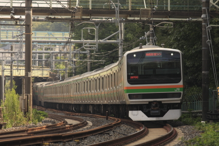 JR東日本 E231系 クハE231-8051 湘南新宿ライン 普通