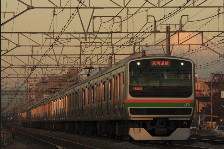 JR東日本 E231系 クハE231-8040 東海道本線 普通